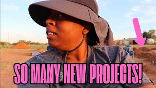 So Much Has Changed on the Homestead! | We've Been BUSY! | Homestead in AZ