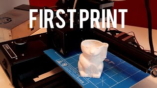 Famous What To Do After Switching On Your 3D Printer For The First Time And First Print | Beginner Tutorial Profile