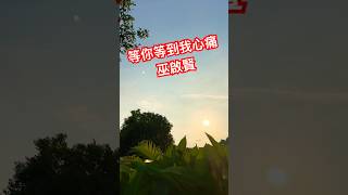 巫啟賢 名曲「等你等到我心痛」🌹❤️💯👍#巫啟賢#等你等到我心痛#經典歌曲