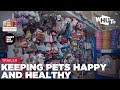 Doggy Style: Keeping DC's Pets Happy and Healthy [TRAILER]