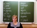 Видеоурок по русскому языку в 5 классе