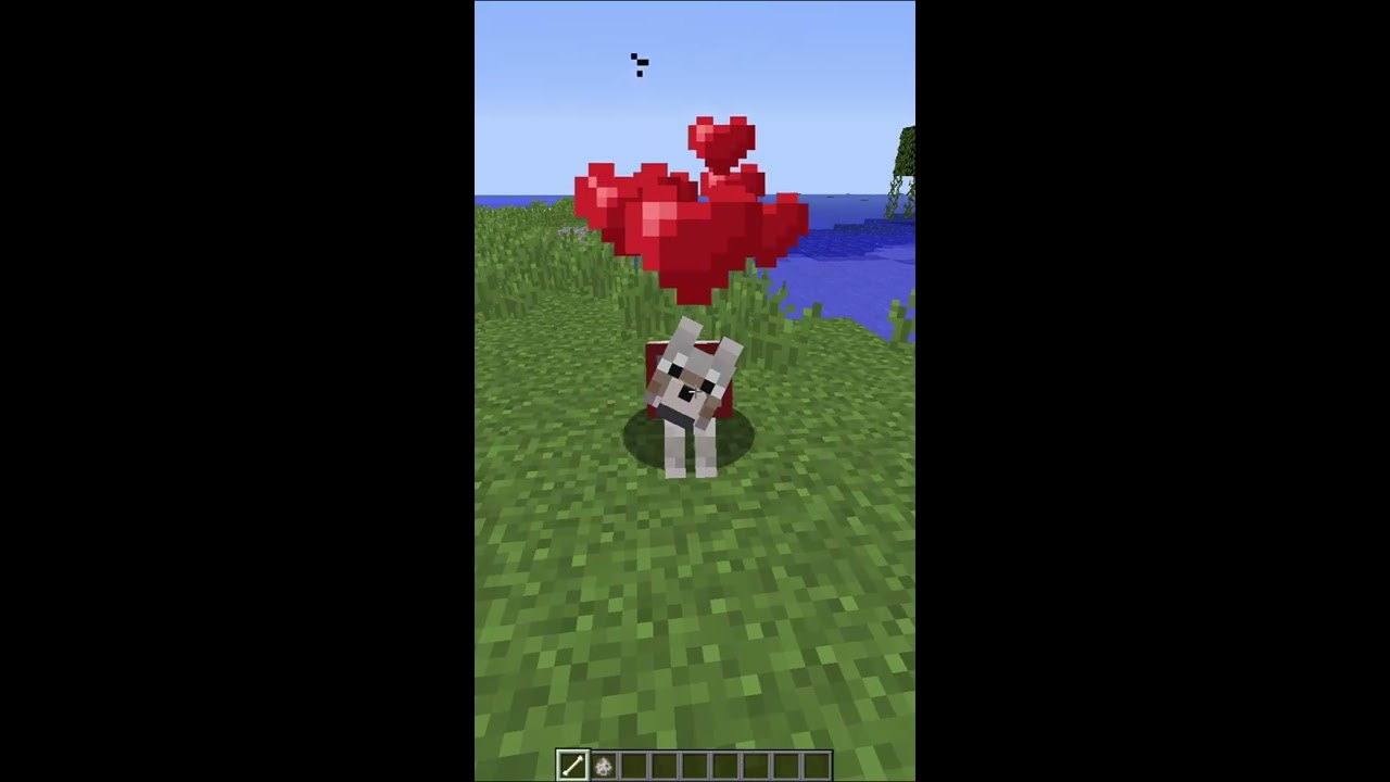 Top 5 Funnest Things to do in Minecraft