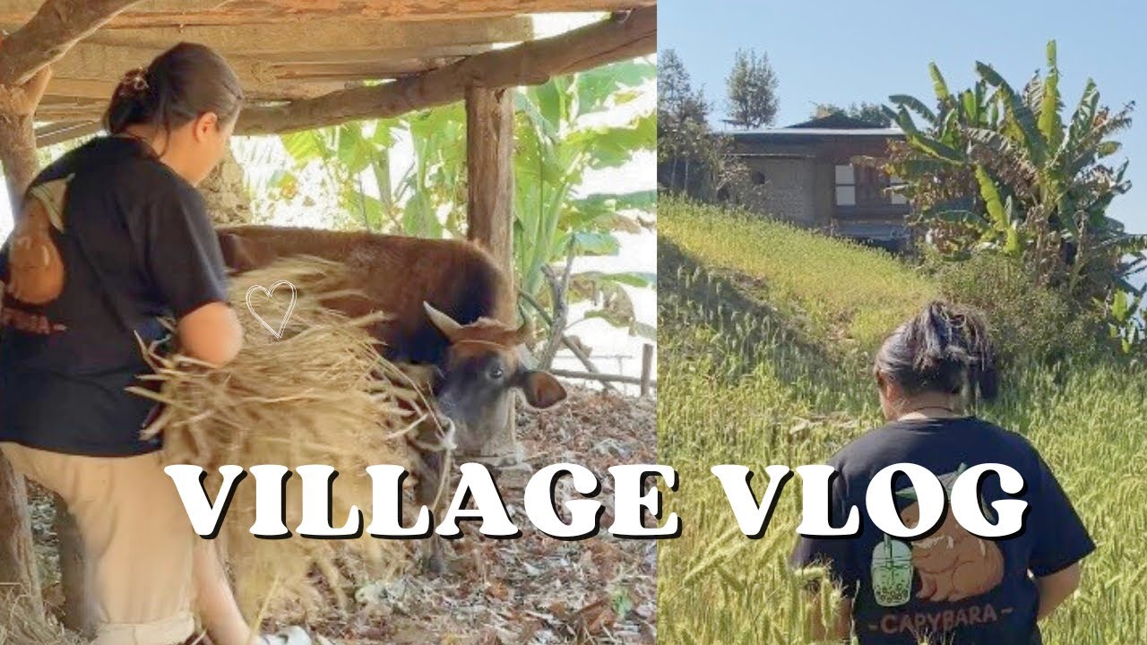 Village diaries | rural life | Bhutanese 