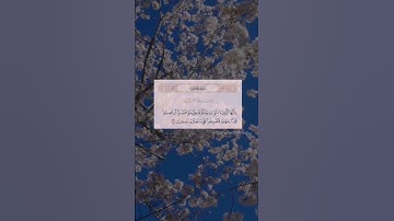 يا أيها الذين آمنوا إن جاءكم فاسقٌ بنبإٍ فتبينوا - سورة الحجرات رعد الكردي #سورة_الحجرات
