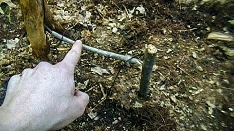 Primitive Trapping - Zero Degree Twitch Snare