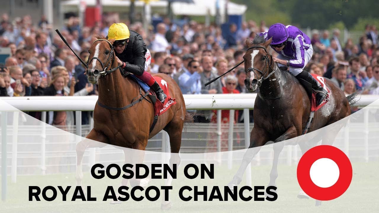 stradivarius violin for sale Royal Ascot 2019: John Gosden on Stradivarius & Too Darn Hot