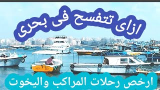 ازاي تتفسحي ف شواطئ بحري والانفوشي