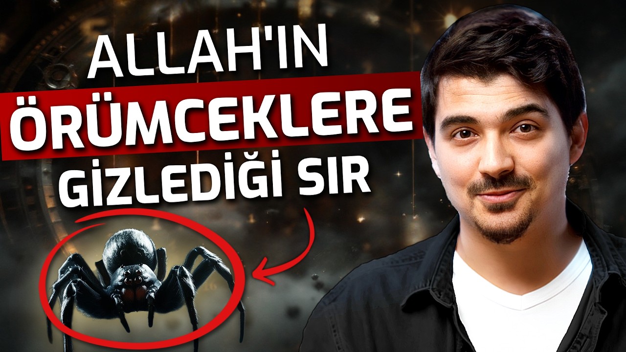 Allah'ın Örümceklere Gizlediği Sır! Altın Oran ve Matematik Mucizesi