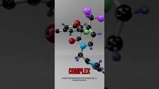 Polysaccharides: Structure and Function in Biology