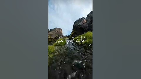 تلاوة هادئة #quran #قرآن #قران_كريم #اكسبلور #لايك #المصحف