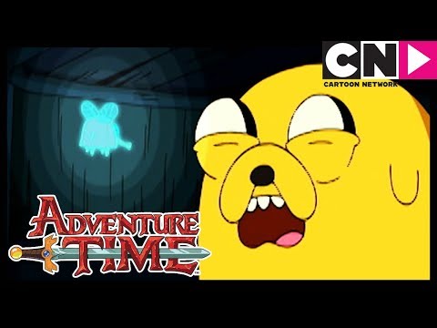 Время приключений | Муха-призрак | Cartoon Network