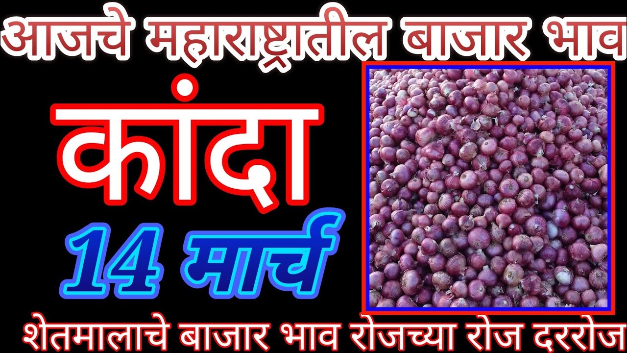 कांदा बाजार भाव महाराष्ट्रातील सर्व बाजार समित्यांचे ## Onion price in All maharastra ## प्याज दाम
