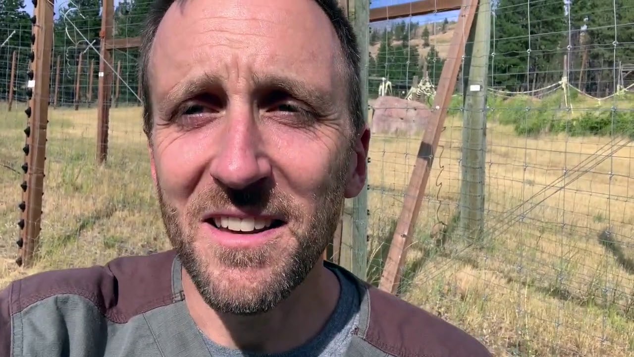 Pant hoot Tutorial YouTube