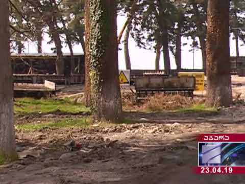 ქობულეთში სანაპიროზე მწვანე ნარგავები ნადგურდება