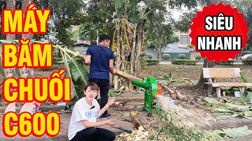 🔥 Máy Băm Chuối C600 – Băm 200 Cây/Giờ ⚡ Cực Nhanh 5s/Cây, Tặng Ngay 3 Dao To – Giá Siêu Rẻ!