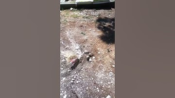 Exploding Soda Can Slowmotion