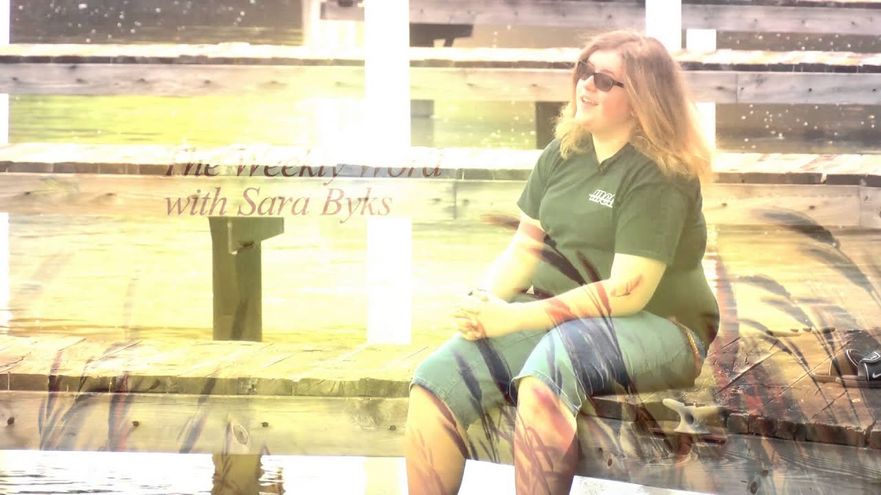 The Weekly Word with Sara Byks: Pens and Swords