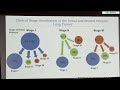 Incidence, Timing, and Survival of Second Primary Lung Cancer in Patients in the National Lung S...