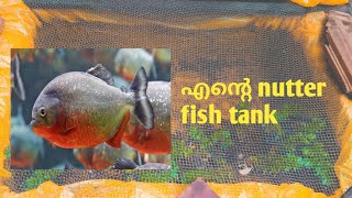 Making nutter fish tank & Fish farming farm