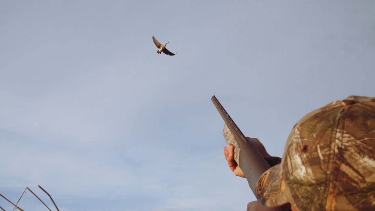 Manitoba Goose Hunting Outfitters YouTube