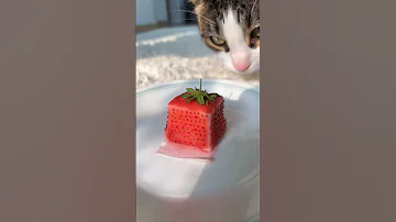 72-hour strawberry jelly 🍓