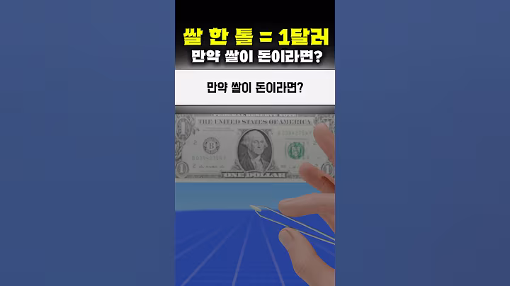 만약 쌀이 돈이라면? 🤔