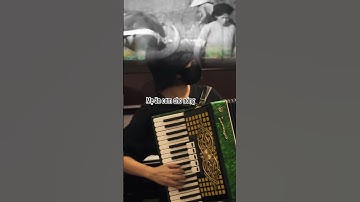 Đưa cơm cho mẹ đi cày | NS Hàn Ngọc Bích | #accordion