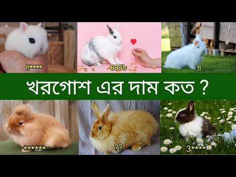 ভিডিও: খরগোশের মধ্যে স্থূলত্ব