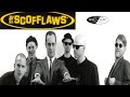 The Scofflaws - Grazing In The Grass