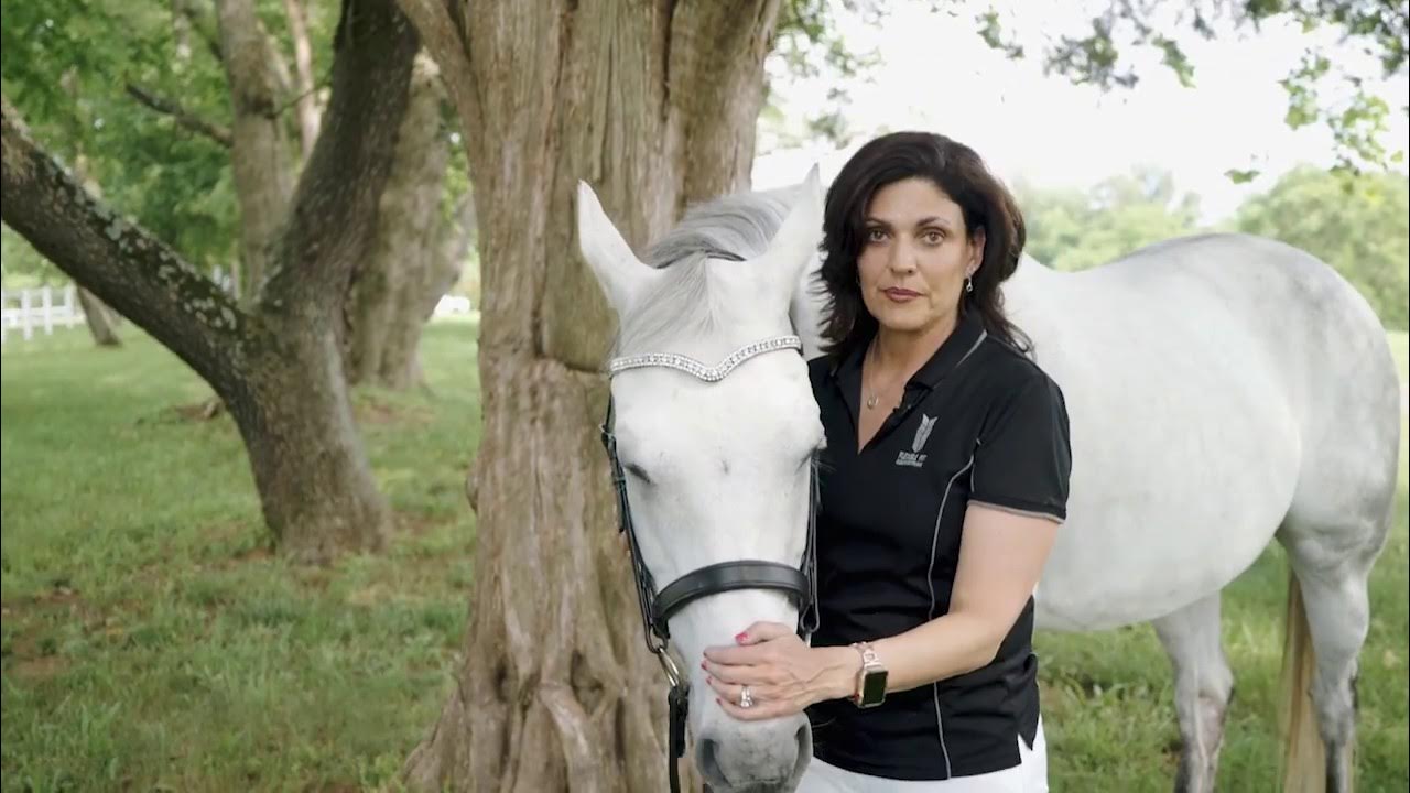 How to properly fit a bridle YouTube