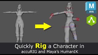 Quickly Rig a Character in accuRig and Maya 2023 HumanIK