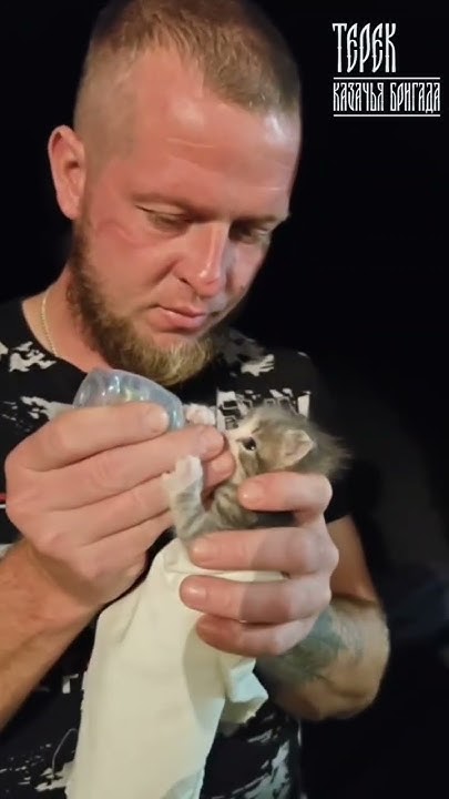 фронтовой котенок 🐱 - YouTube