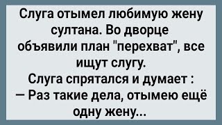 Как Слуга с Женой Султана Согрешил! Сборник Свежих Анекдотов! Юмор!