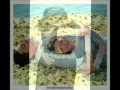 الله لا يحرمني منك عمرودياب 
