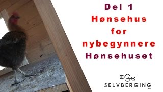 Hønsehus for nybegynnere