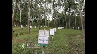 Apiculture : Prospects of bee keeping in Kerala