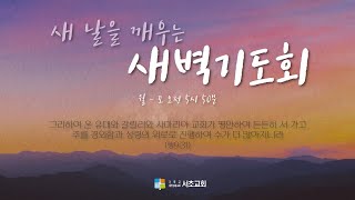 존중과 회복 / 딤전5:17-25 / 김진욱 전도사 / 25.07.15 새벽기도회