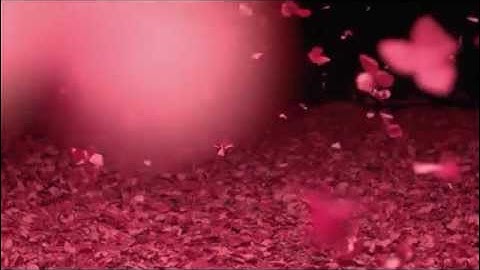 Bridezilla - Lunar Eclipse