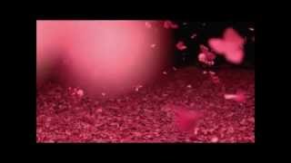 Bridezilla - Lunar Eclipse