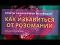 Советы начинающим розоводам.