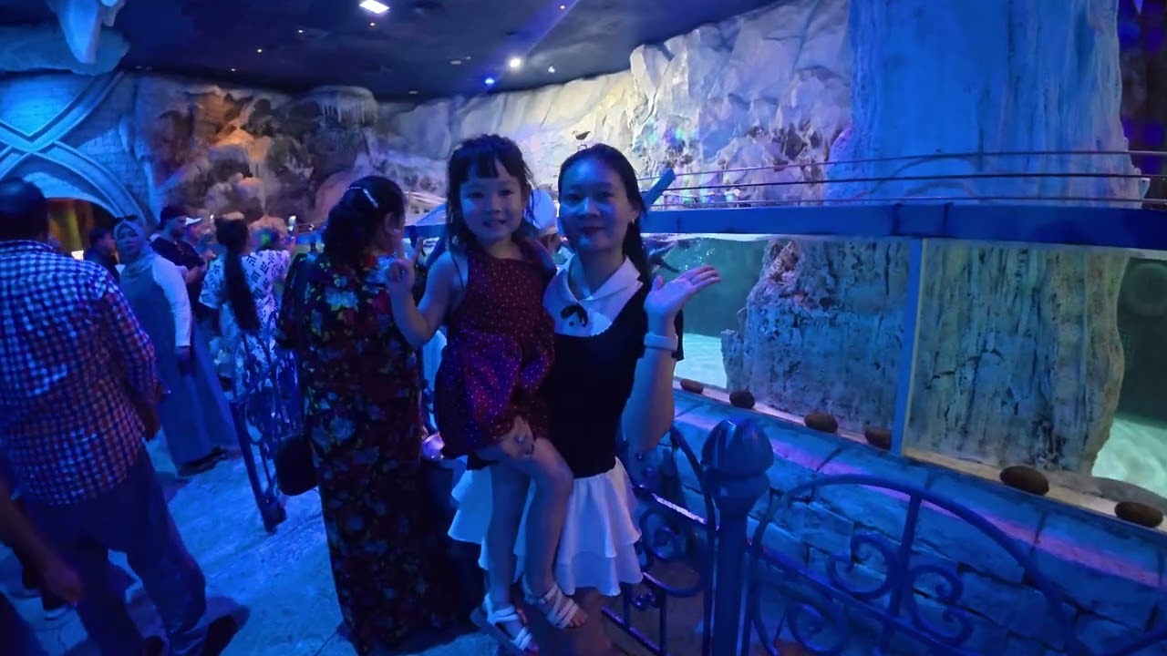 chim cánh cụt ăn