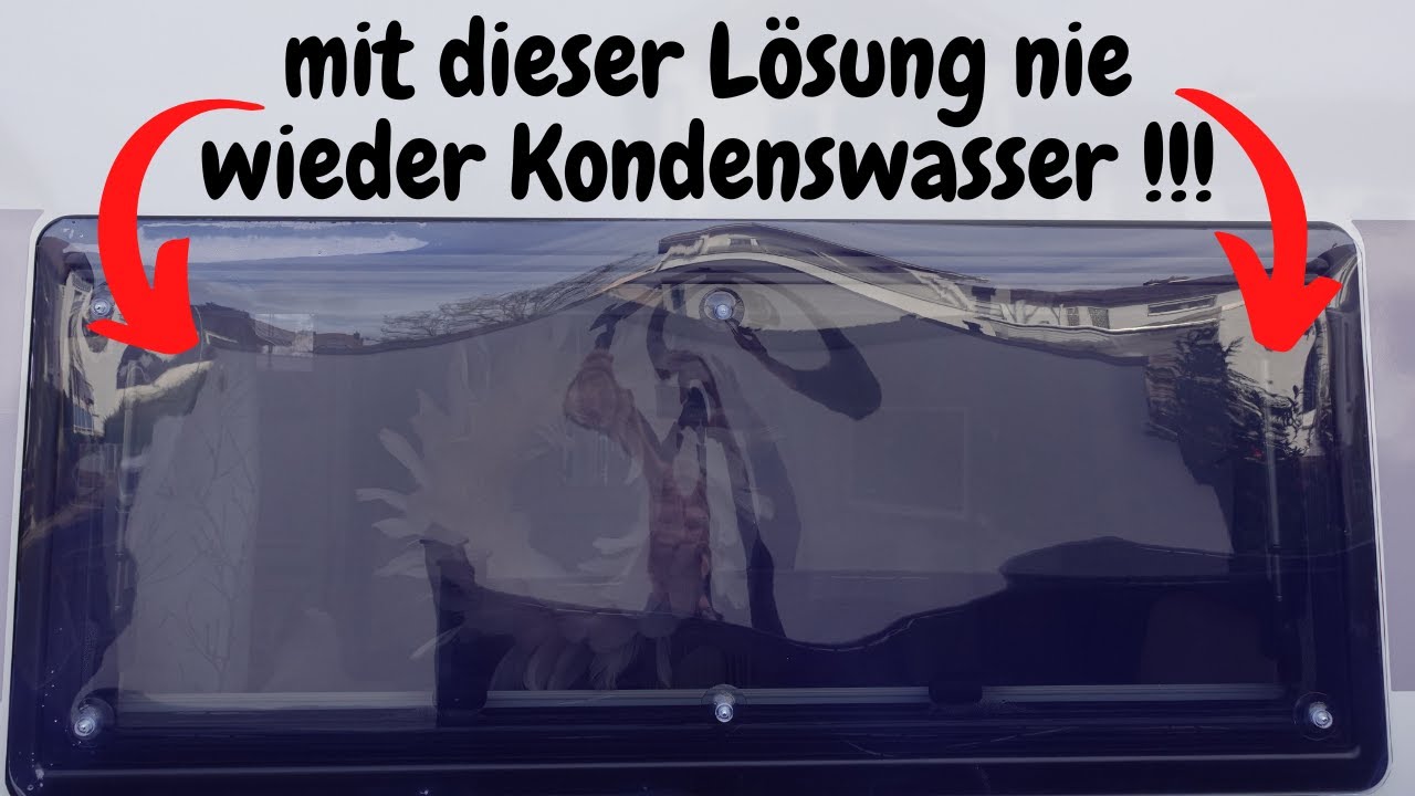 Kondenswasserabsorber für Fenster: Eine praktische Lösung