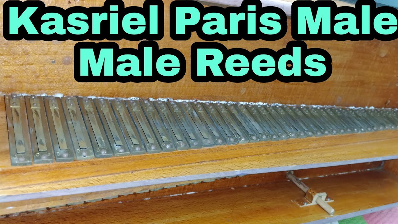 Kasriel Paris Reeds । Sold। Male Male 39+39 Untouch Condition। - YouTube