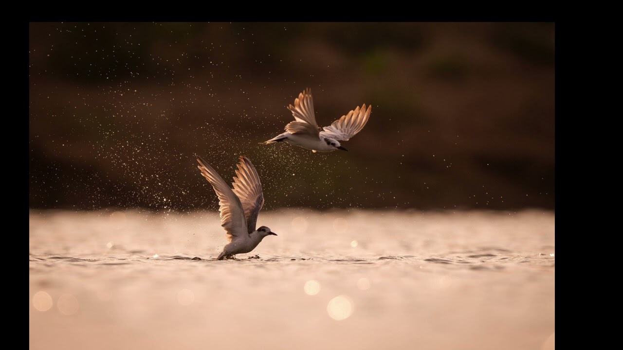 විශ්වයයි...ඔබයි...එකක් වීමට නම්.....