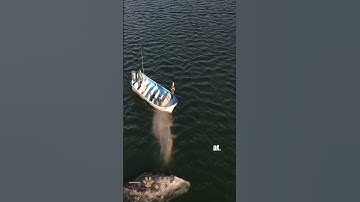 Whale Surprises Fishermen by Swimming Under Their Boat #whale #whales  #wildlife #ocean #fishing