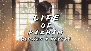 Life Of Pazham - Slowed x Reverb |thiruchitrambalam |