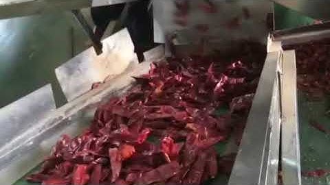 GroTech Chili Color Sorter Machine-Color Sorting Video
