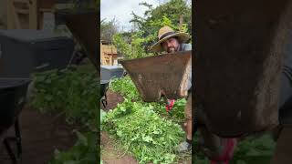 Weeds Are Free Compost