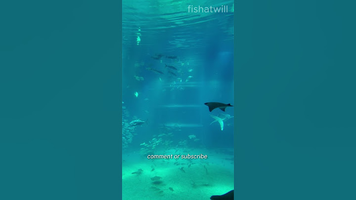Osaka Aquarium Kaiyukan