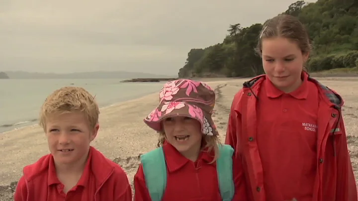 Meet the Locals: Kiwi release